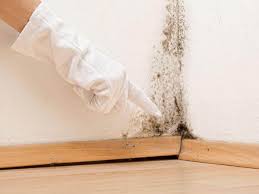 Best Mold Removal for HVAC Installations  in Quincy, IL